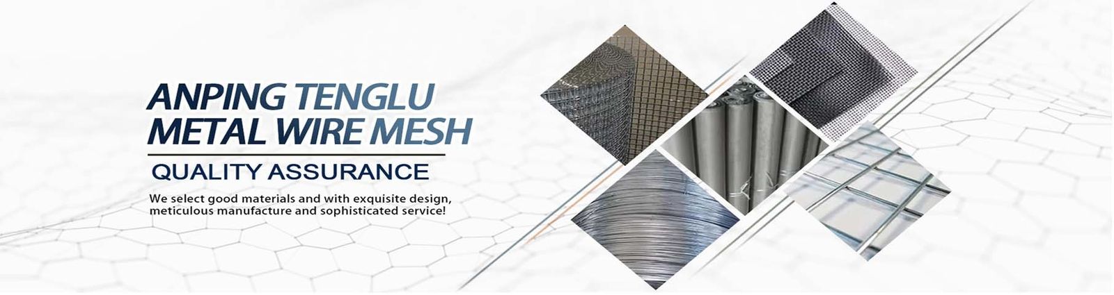 SS Welded Wire Mesh