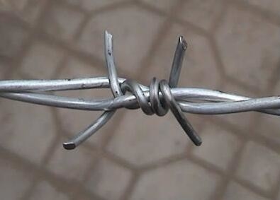 High Quality Galvanized Barbed Wire Industry Agriculture Or Fence