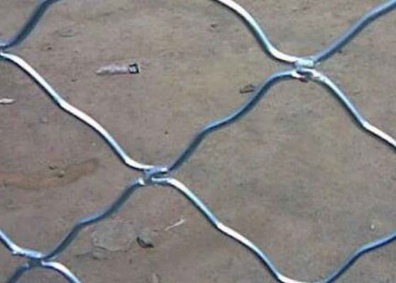 Firm Structure Stainless Steel Mesh Screen