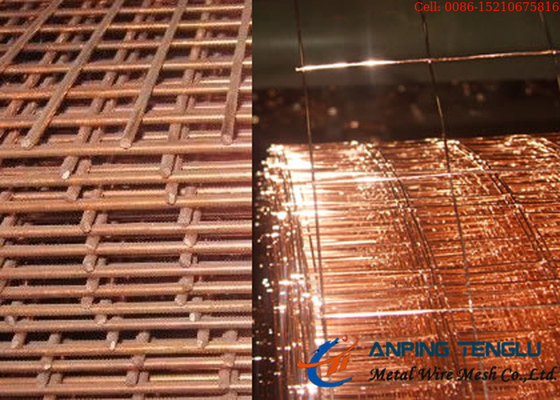 AISI Ss Welded Wire Mesh Copper Coated Brass Or Copper Plating Surface
