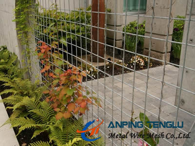 Plant Support Astm Ss Weld Mesh Stable Corrosion Resistance