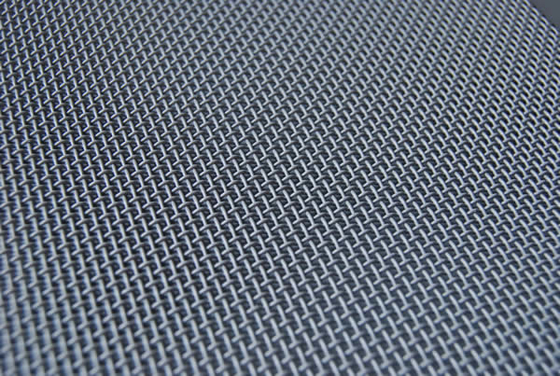 SS304 Security Screens Black Powder Coated 12mesh 0.035